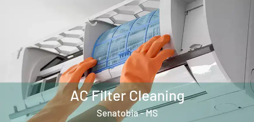AC Filter Cleaning Senatobia - MS