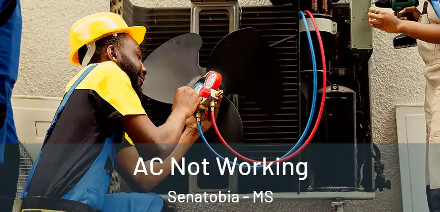  AC Not Working Senatobia - MS