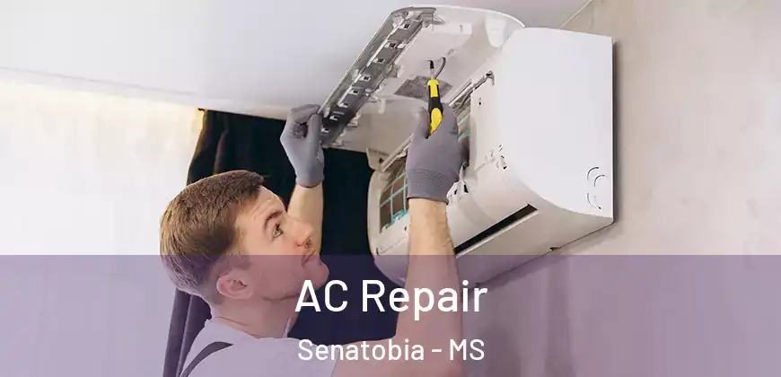  AC Repair Senatobia - MS