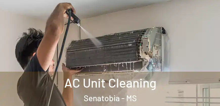 AC Unit Cleaning Senatobia - MS