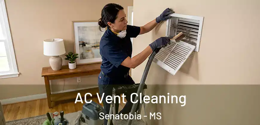 AC Vent Cleaning Senatobia - MS