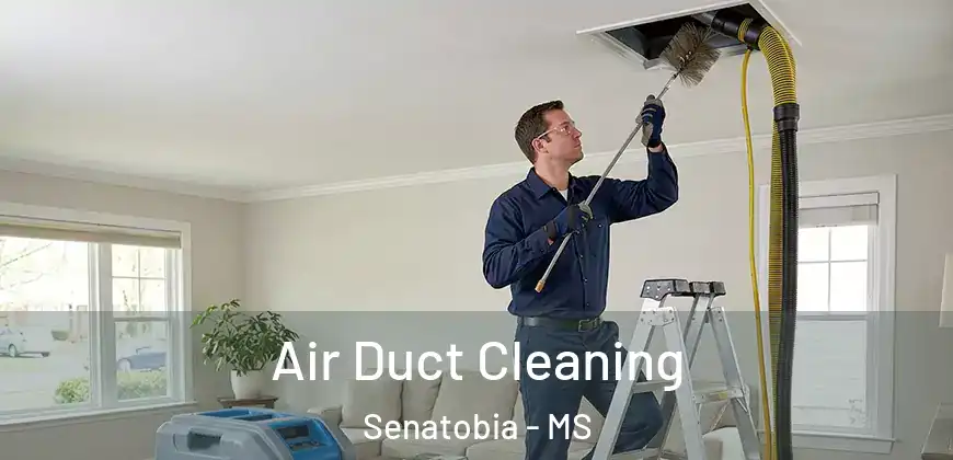 Air Duct Cleaning Senatobia - MS