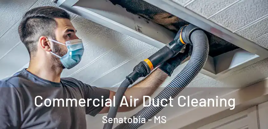 Commercial Air Duct Cleaning Senatobia - MS