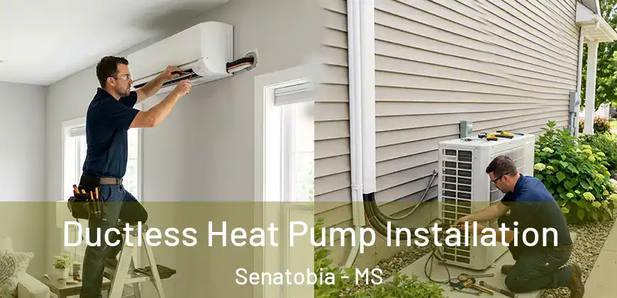  Ductless Heat Pump Installation Senatobia - MS