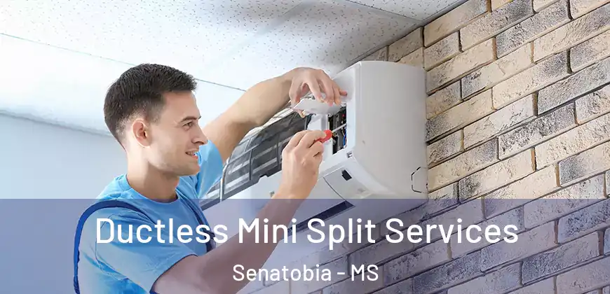 Ductless Mini Split Services Senatobia - MS