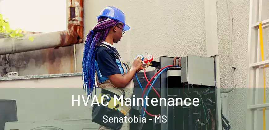 HVAC Maintenance Senatobia - MS